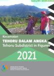 Tehoru Subdistrict In Figures 2021